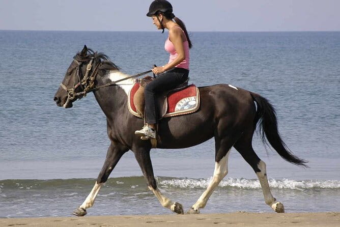 Horse Riding on the Beach in Side - Price and Logistics: What You Need to Know