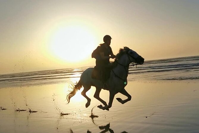 Horse Riding on the Beach of Essaouira 2 Hours - Key Points