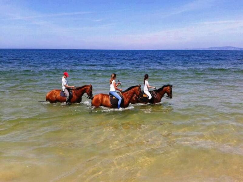 Horse riding on the beach, with private transfer from Lisbon - Discovering the Beaches of Setúbal Peninsula on Horseback