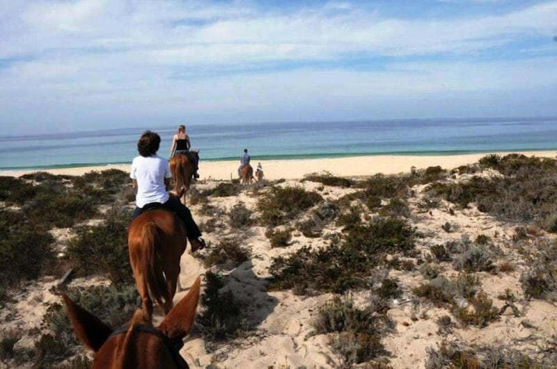 Horse riding on the beach, with private transfer from Lisbon - Logistics and Practical Considerations