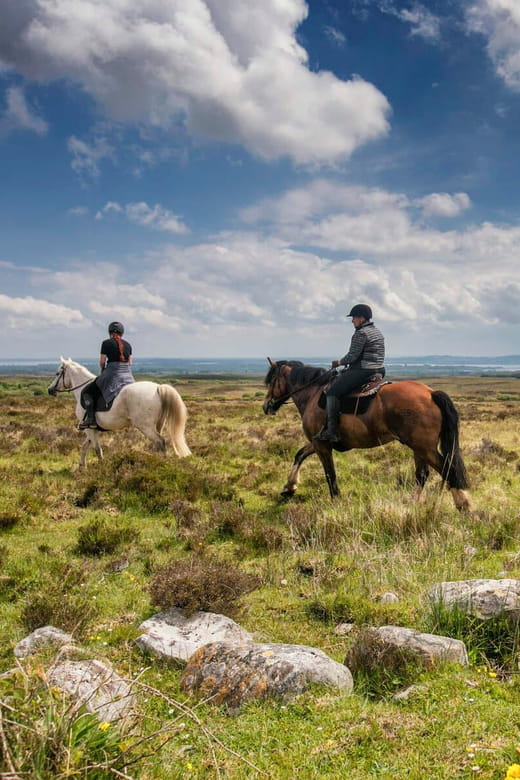 Horse riding the dirt trail. Clare. Guided. 1 hour - The Trail and the Views: What You’ll See