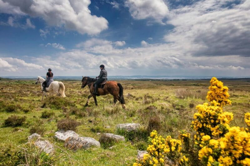 Horse riding the mountain trail. Clare. Guided, 2 hours - Why This Horse Ride Is Worth Considering