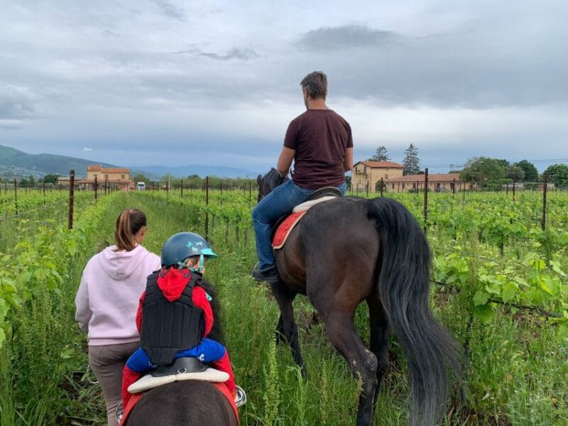 Horse Riding Through The Valleys + lunch - Key Points / Takeaways