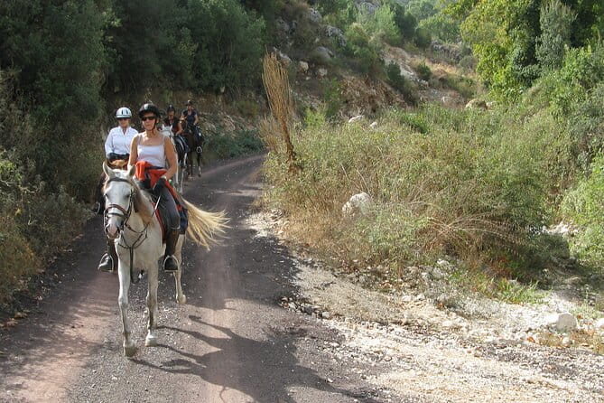 Horse Riding Tour in Bodrum with Hotel Pick Up - Exploring Bodrum’s Countryside On Horseback