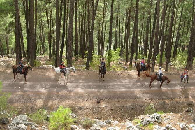 Horse Riding Tour in Bodrum with Hotel Pick Up - FAQ