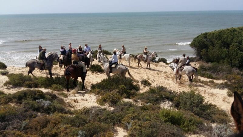 Horse-Riding Tour in Doñana National Park - Key points / Takeaways