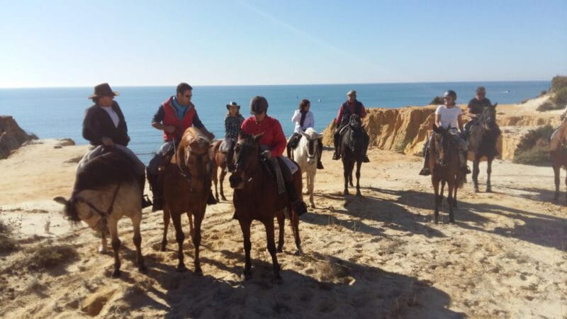 Horse-Riding Tour in Doñana National Park - A detailed look at the horseback experience in Doñana