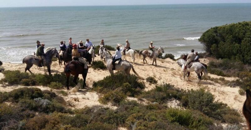 Horse-Riding Tour in Doñana National Park - The Sum Up