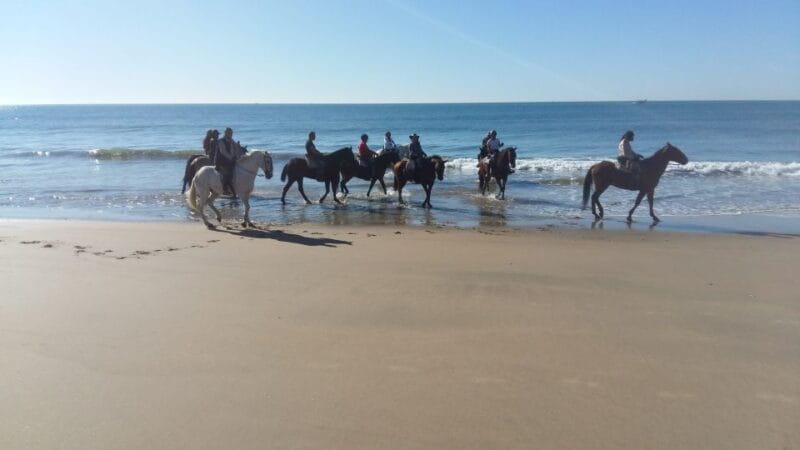 Horse-Riding Tour in Doñana National Park - FAQ