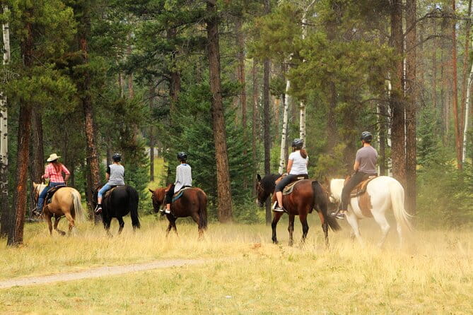 Horse Riding Tour in Marmaris - Horse Riding Tour in Marmaris: A Balance of Nature and Nostalgia