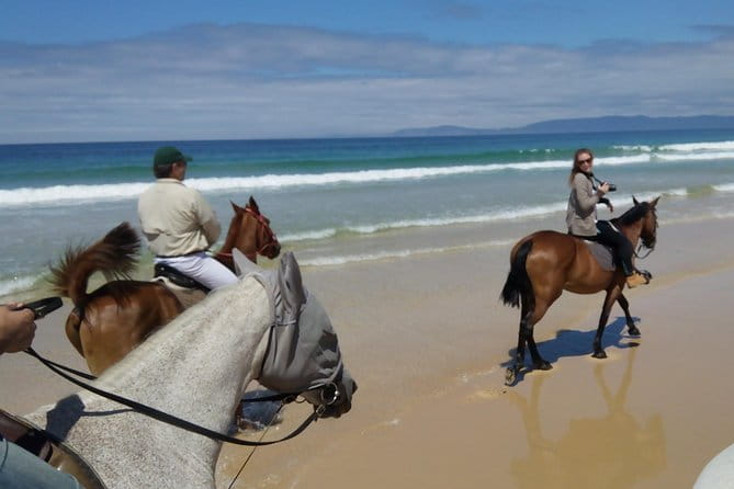 Horse Riding Tour on the Beach Lisbon region - FAQ