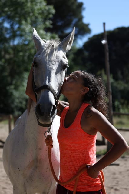 Horse Sanctuary in Rome - A Unique Ride Outside Rome’s Crowds: Visiting a Horse Sanctuary