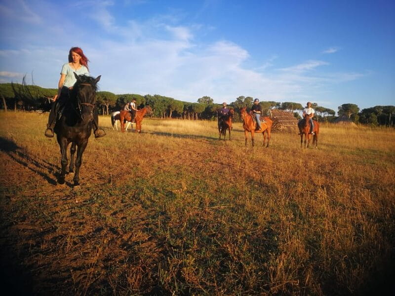 Horse Sanctuary in Rome - Authentic Connection and Meaningful Involvement