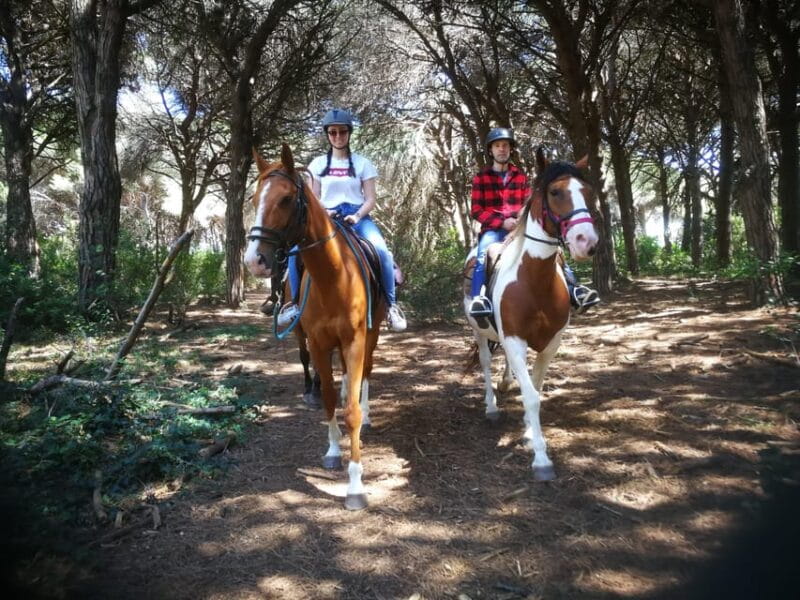 Horse Sanctuary in Rome - The Real Value of a Horse Sanctuary Ride
