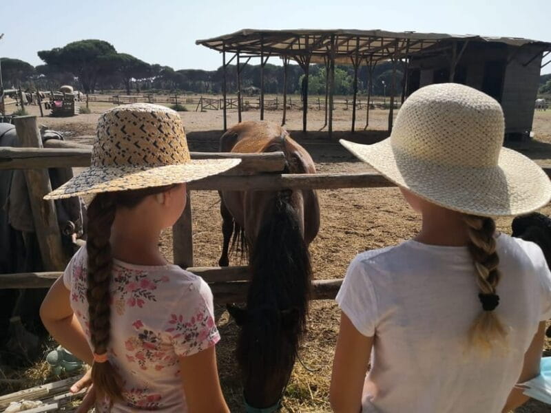 Horse Sanctuary in Rome - Final Thoughts: Is This the Right Choice for You?