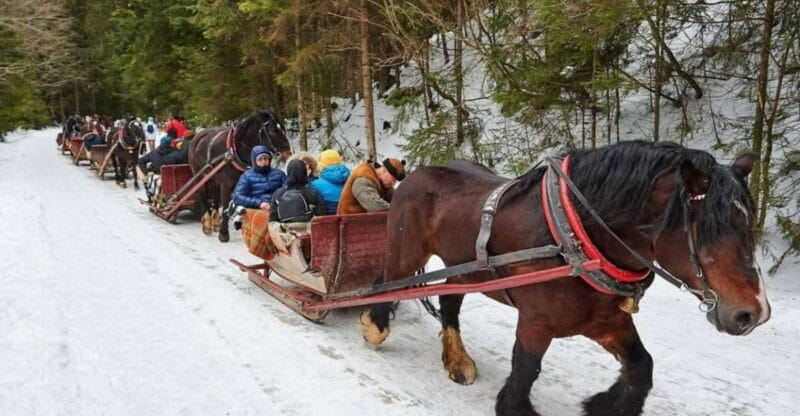 Horse Sleigh 2-3h Ride with Hot Springs or Zakopane Combos - FAQ