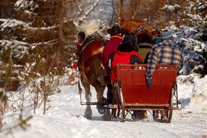 Horse Sleigh Ride in the Polish Countryside, private tour from Krakow - Who This Tour Is Best For