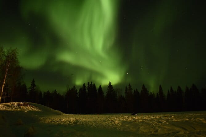 Horse Sleigh Ride Under The Night Sky in Apukka Resort, Rovaniemi - Who Is This Tour Best For?