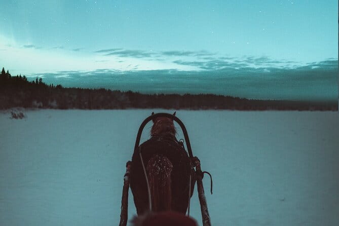 Horse Sleigh Ride Under The Night Sky in Apukka Resort, Rovaniemi - Final Thoughts: An Arctic Night to Remember
