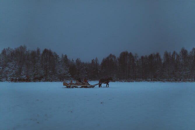 Horse Sleigh Ride Under The Night Sky in Apukka Resort, Rovaniemi - FAQ