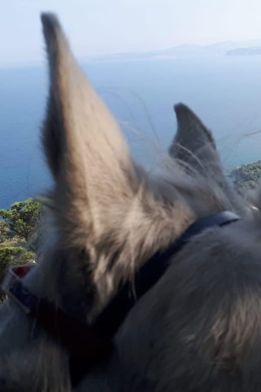 Horseback excursion in the Maddalena woods - Key points / Takeaways