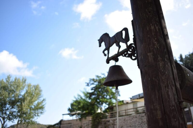 Horseback excursion in the Maddalena woods - The Itinerary: What to Expect From Start to Finish