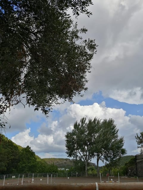 Horseback excursion in the Maddalena woods - Price and Logistics: Is It Worth It?