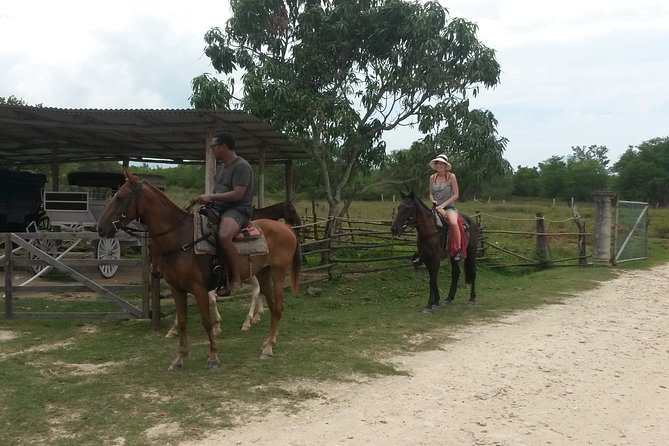 Horseback Ride and Mayfield Falls Combo From Negril - Key Points