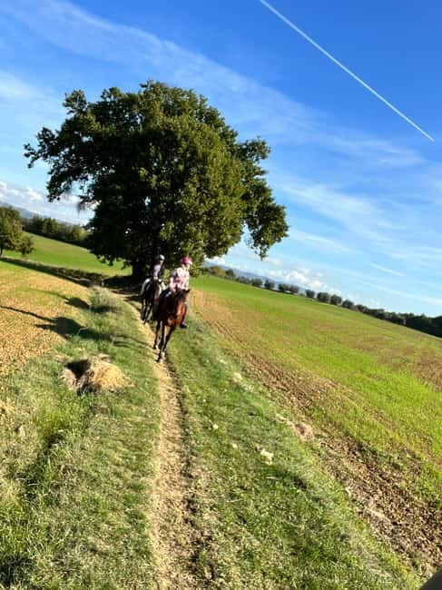 Horseback Ride in Tuscany with Lunch in da Vincis Land - Key points / Takeaways