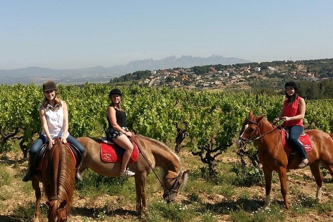 Horseback Ride, Penedes, Wine Tasting & Tapas Private Tour - The Experience in Detail