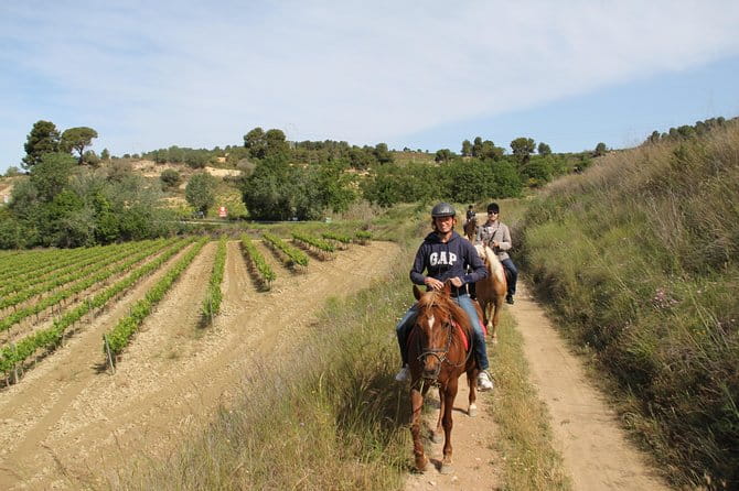 Horseback Ride, Penedes, Wine Tasting & Tapas Private Tour - Final Thoughts