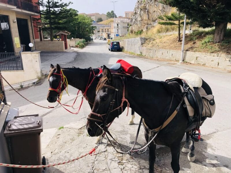 Horseback ride to Caltabellotta and brunch with a shepherd - FAQ