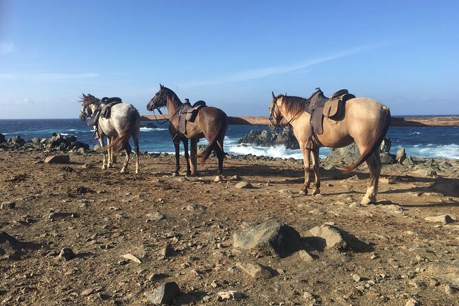 Horseback Ride Tour to Natural Pool in Arikok National Park - Matching With the Horses