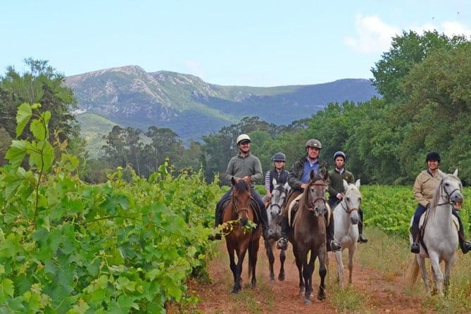 Horseback Riding, 4 Options-Mountain, Lesson Ring, Beach (2Hours) - Key Points