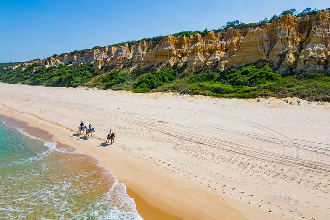 Horseback Riding, 4 Options-Mountain, Lesson Ring, Beach (2Hours) - A Close Look at the Experience