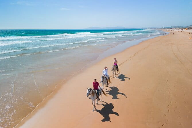 Horseback Riding, 4 Options-Mountain, Lesson Ring, Beach (2Hours) - FAQ Section