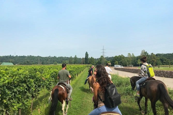 Horseback riding and wine tasting - Exploring the Verona Countryside on Horseback