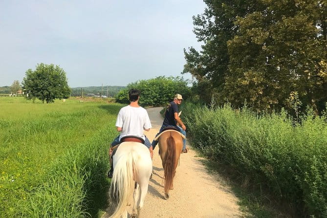 Horseback riding and wine tasting - Behind the Gates of a Family-Run Winery