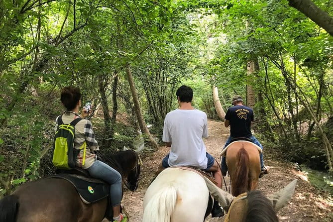 Horseback riding and wine tasting - Final Thoughts: Is It Worth It?
