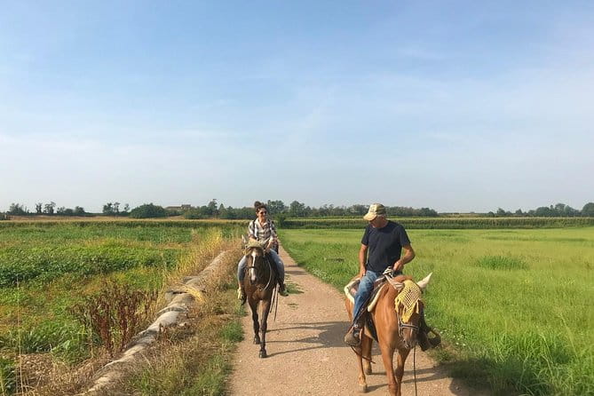 Horseback riding and wine tasting - FAQ