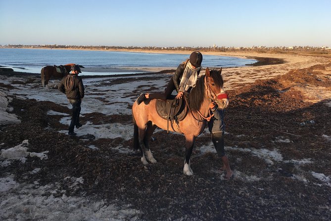Horseback Riding at Sunrise 3h - Booking Confirmation