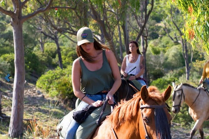 Horseback Riding by the beach or mountain in Tarifa, Spain - 1 to 2 hrs - Exploring the Experience in Detail