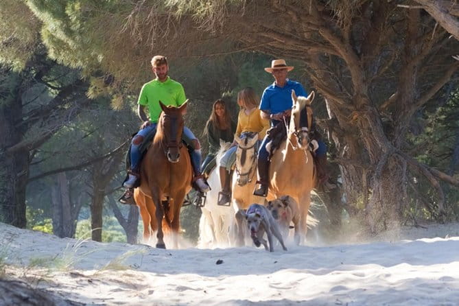 Horseback Riding by the beach or mountain in Tarifa, Spain - 1 to 2 hrs - Price and Logistics: Is It Worth It?