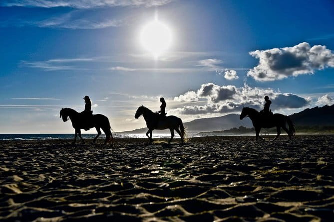 Horseback Riding by the beach or mountain in Tarifa, Spain - 1 to 2 hrs - Final Thoughts: Is It a Good Fit?