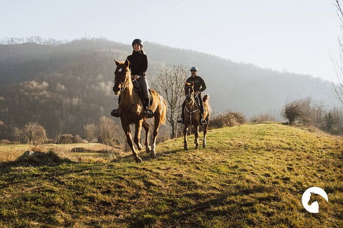 Horseback riding for experts between the lake and the mountains - Key Points / Takeaways