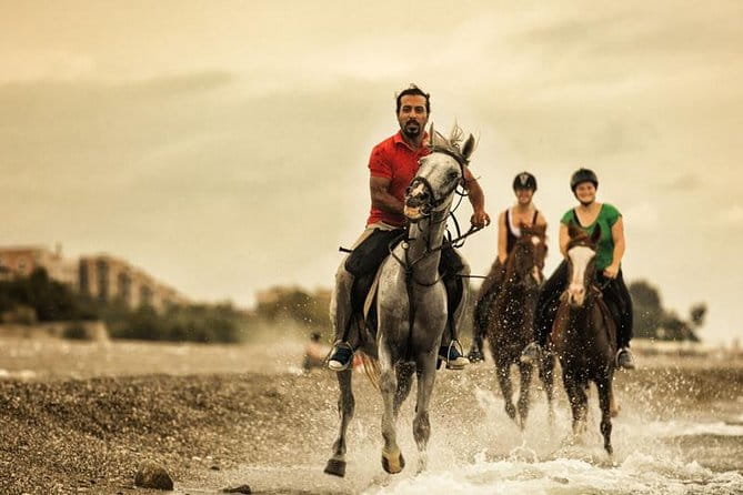 Horseback Riding From Kusadasi Port For Cruise Guests - Who Will Love This Tour?