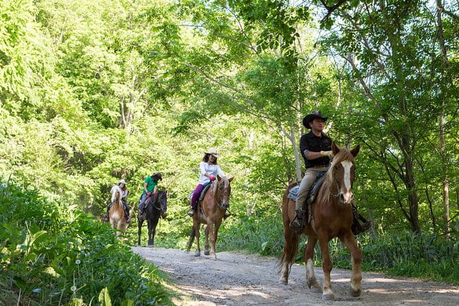 Horseback-Riding in a Country Side in Sapporo - Private Transfer Is Included - Scenic Highlights