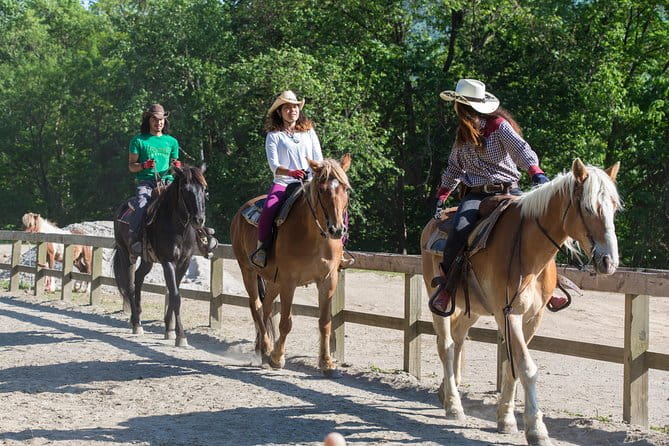 Horseback-Riding in a Country Side in Sapporo - Private Transfer Is Included - Logistics and Inclusions