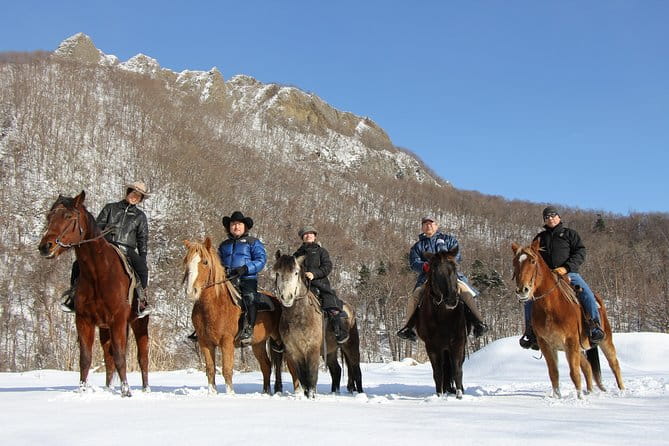 Horseback-Riding in a Country Side in Sapporo - Private Transfer Is Included - Safety Considerations