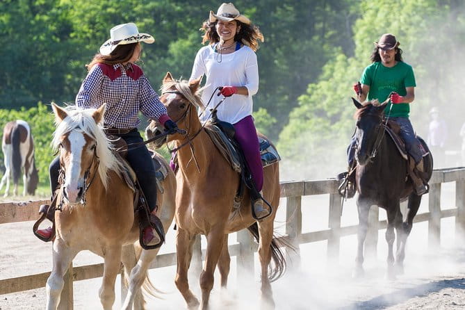 Horseback-Riding in a Country Side in Sapporo - Private Transfer Is Included - Accessibility and Requirements